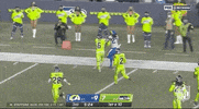 Los Angeles Rams Football GIF by NFL