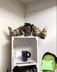 Model Mask GIF by Alex Boya