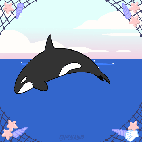 killer whale fox GIF by Animation Domination High-Def