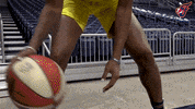 Hinkle Fieldhouse Wnba GIF by Indiana Fever