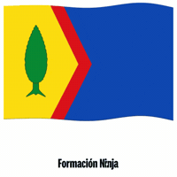Flag Spain GIF by Formación Ninja