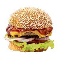 bbq grill Sticker by ROCK AND RIBS