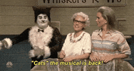 Kristen Wiig Snl GIF by Saturday Night Live