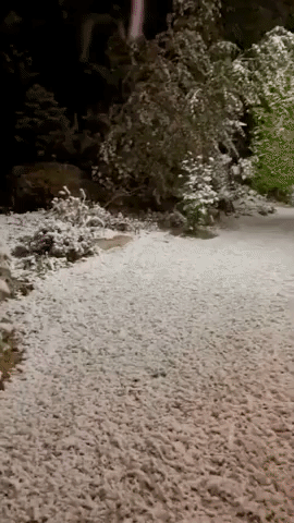 Early Snowfall Blankets Garden in Minneapolis