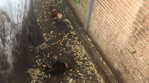 methodofaction giphyupload GIF