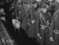 NationalWWIMuseum black and white goat military footage GIF