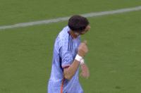 Celebrate New York City GIF by Major League Soccer