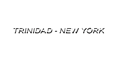 New York Travel Sticker by Marq Studio