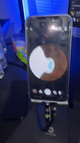 crshdprod giphyupload GIF