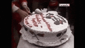 happy birthday GIF by Ayrton Senna