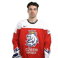 Celebration Hockey Sticker by Národní tým