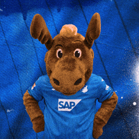 Sport Bundesliga GIF by TSG Hoffenheim