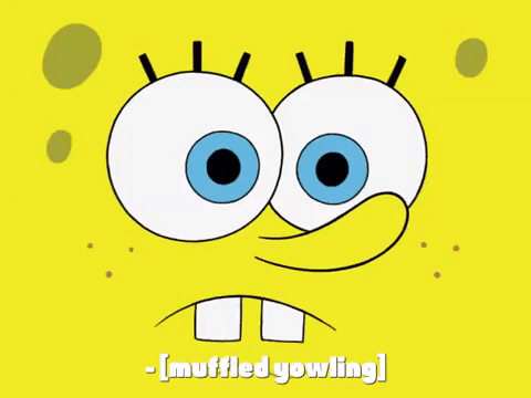 season 7 episode 13 GIF by SpongeBob SquarePants