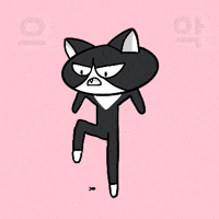 frismstudio cat frism GIF