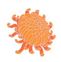 JesFortner_Illustration illustration sticker nature flower Sticker