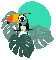 Anikastefa summer bird eye tropical Sticker