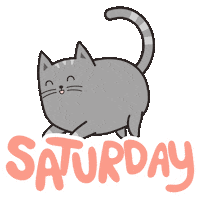 happy fat cat Sticker by Meowingtons