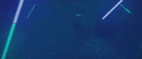 Read High School GIF by Livingston