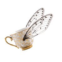 fettebeute tasse dwfb fette beute des wahnsinns fette beute Sticker