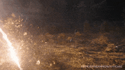 Tom Holland Attack GIF by Spider-Man