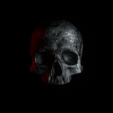 loop skull GIF by Sakke Soini