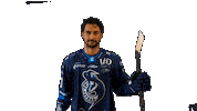 Poprad Hockey Sticker by HK Poprad