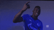 happy fc schalke GIF by Bundesliga