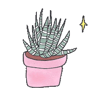 Stars Plant Sticker by Art Baby Girl