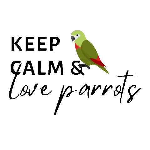heathergracestewart giphyupload chill cheeky parrot Sticker
