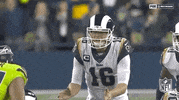 Regular Season Football GIF by NFL