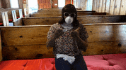 Church Mask GIF by Robert E Blackmon