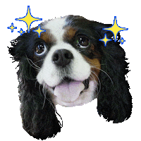 The Pack Dog Sticker by Amazon Prime Video