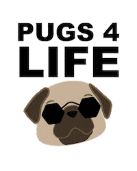 colorforbreakfast pugmom colorforbreakfast mangoymaria Sticker