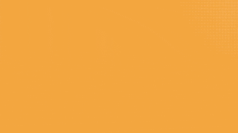 bingsport giphyupload GIF