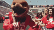 GIF by UGivingDay