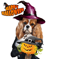 Queen Elizabeth Halloween Sticker by Pimp Yo Pets