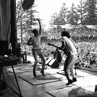 TheRevivalists festival concert live music music festival GIF