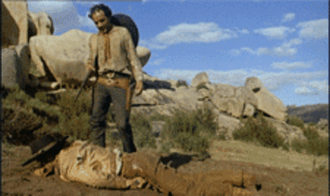 western GIF