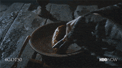 Hbo GIF by Game of Thrones
