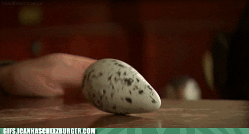 egg roll GIF by Cheezburger