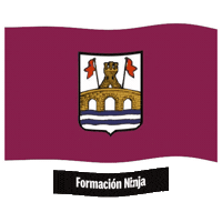 Bandera Sticker by Formación Ninja