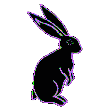 Ypomusic Sticker by You Plus One