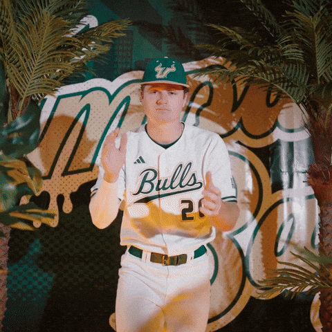 South Florida Baseball GIF by USF Athletics