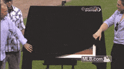 white sox baseball GIF by MLB