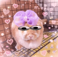 Shocked Big Eyes GIF