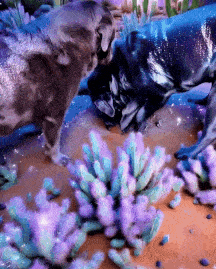 gokayuyan13 giphyupload GIF