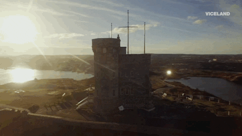 GIF by Dead Set on Life