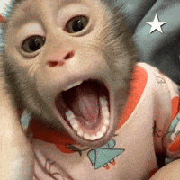 Mood Mono GIF