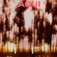 Q GIF by jorgemariozuleta