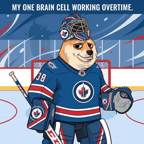 Ice Hockey Nhl GIF by Doge Pound